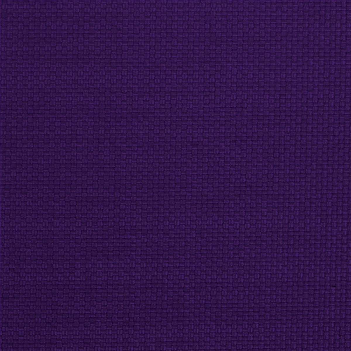Purple_Nylon.jpg